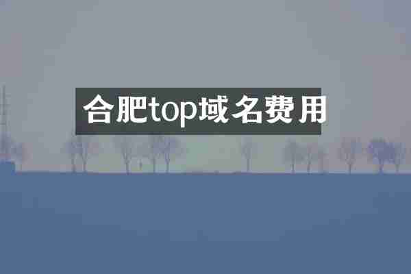 合肥top域名费用
