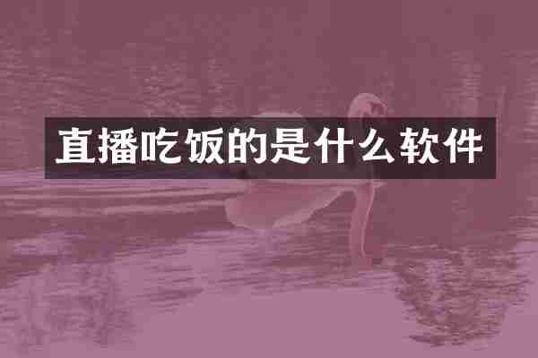 直播吃饭的是什么软件