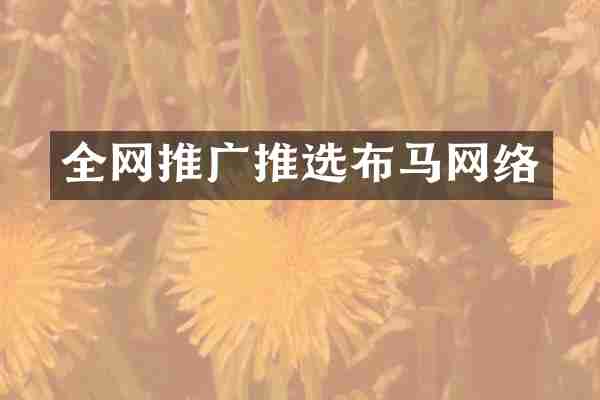 全网推广推选布马网络
