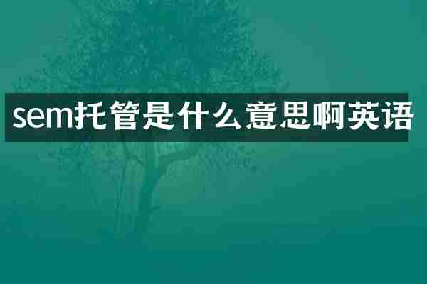 sem托管是什么意思啊英语
