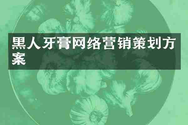 黑人牙膏网络营销策划方案