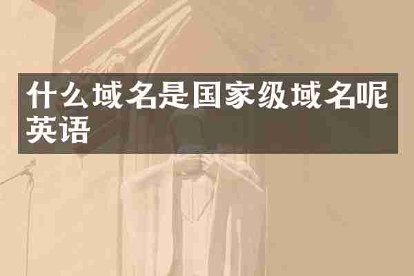 什么域名是国家级域名呢英语