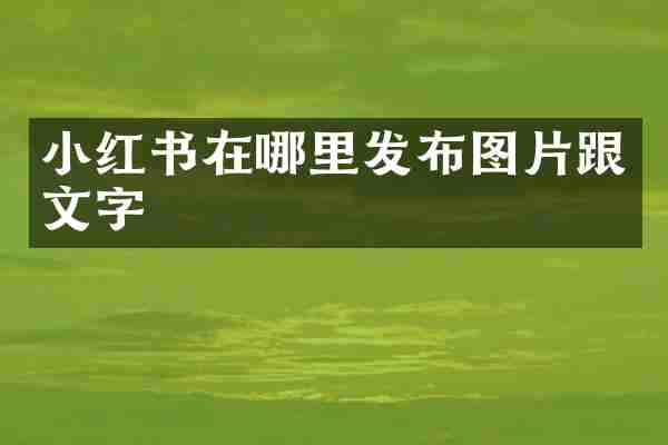 小红书在哪里发布图片跟文字