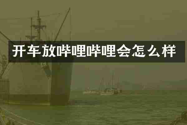 开车放哔哩哔哩会怎么样