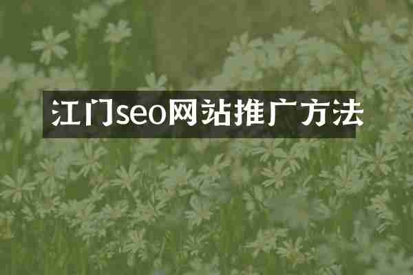 江门seo网站推广方法