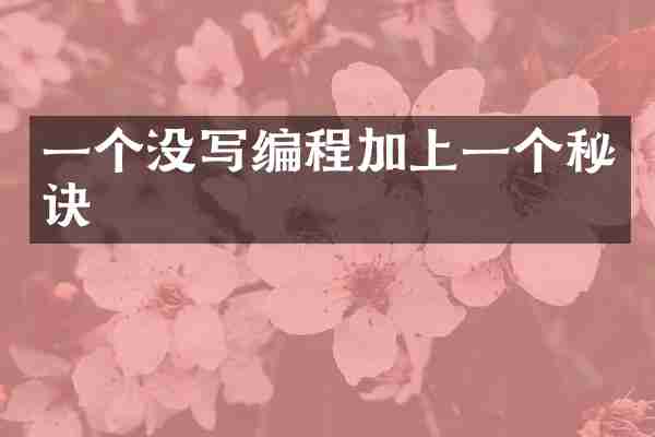 一个没写编程加上一个秘诀