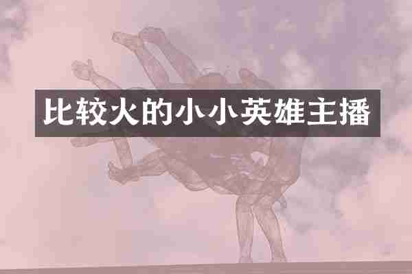 比较火的小小英雄主播