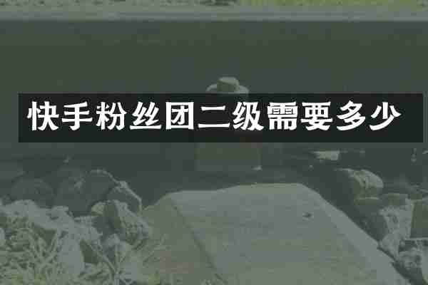 快手粉丝团二级需要多少