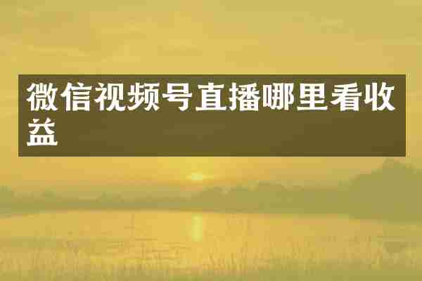 微信视频号直播哪里看收益