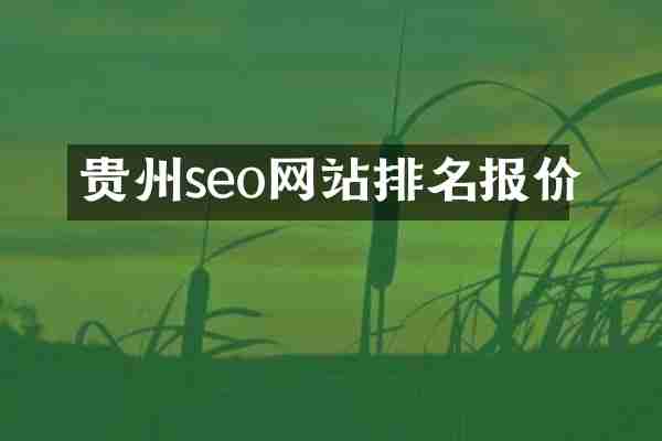 贵州seo网站排名报价
