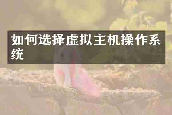如何选择虚拟主机操作系统