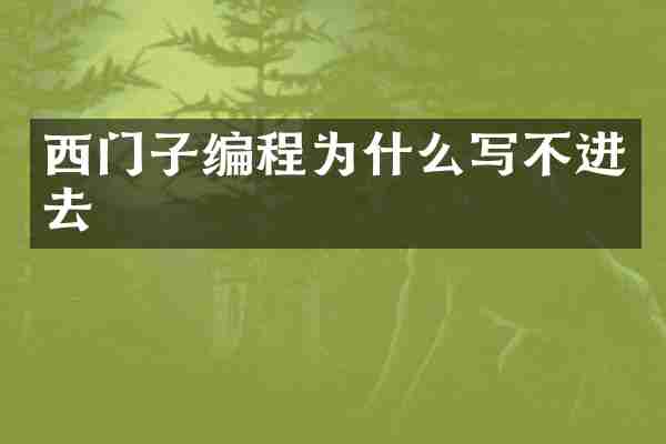 西门子编程为什么写不进去