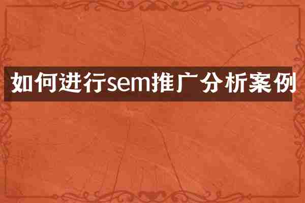 如何进行sem推广分析案例