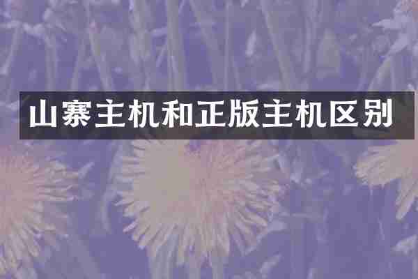 山寨主机和正版主机区别