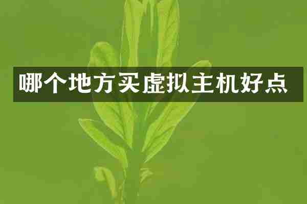 哪个地方买虚拟主机好点