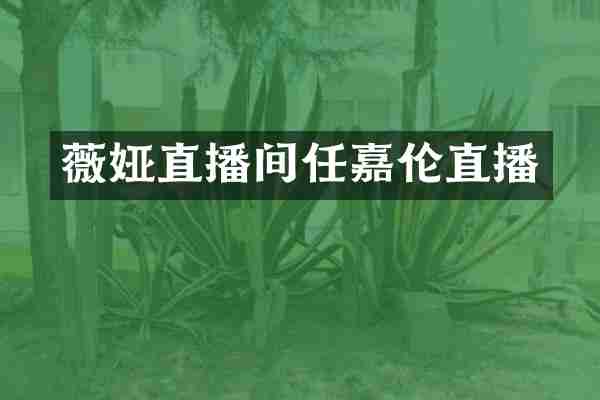 薇娅直播间任嘉伦直播