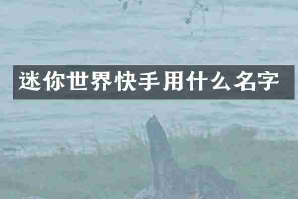 迷你世界快手用什么名字