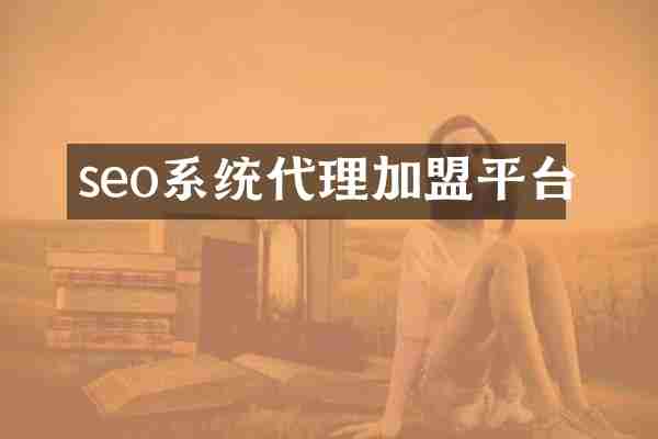 seo系统代理加盟平台