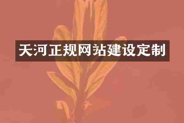 天河正规网站建设定制