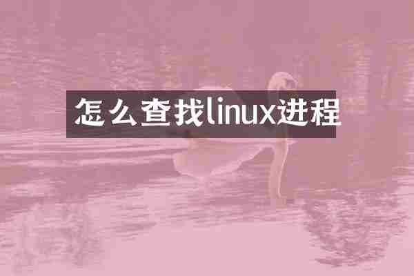 怎么查找linux进程