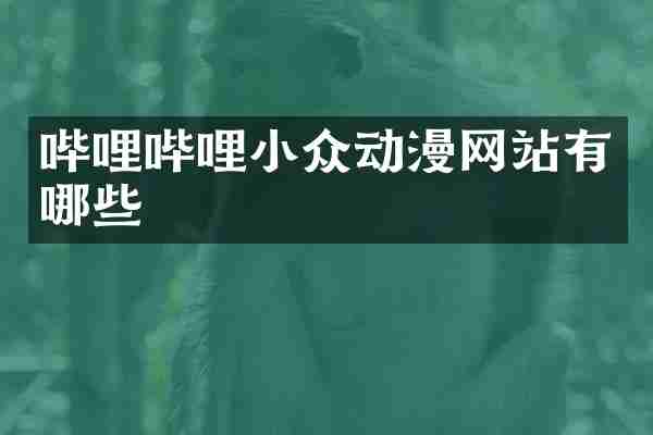 哔哩哔哩小众动漫网站有哪些