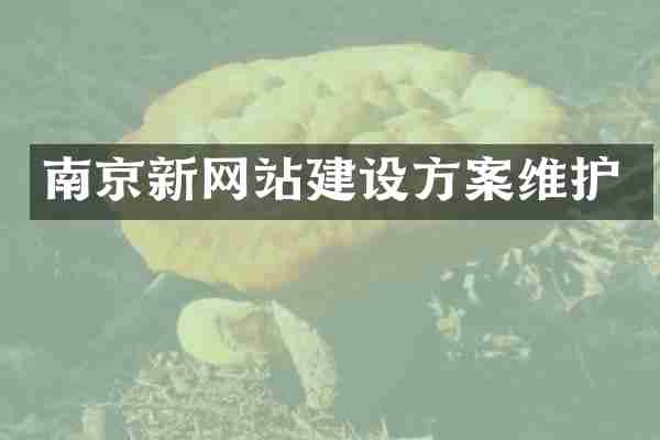 南京新网站建设方案维护