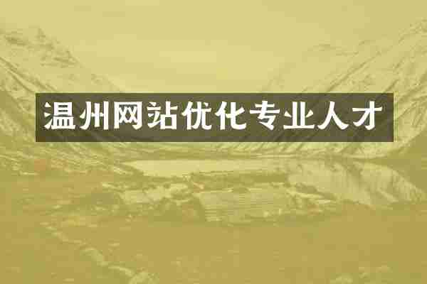 温州网站优化专业人才