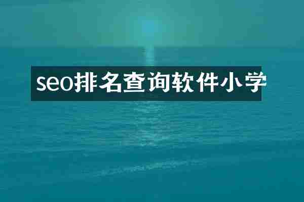seo排名查询软件小学