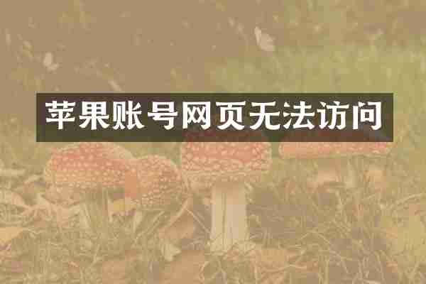 苹果账号网页无法访问