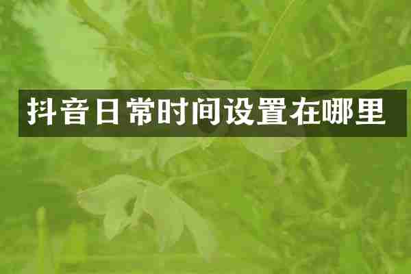 抖音日常时间设置在哪里