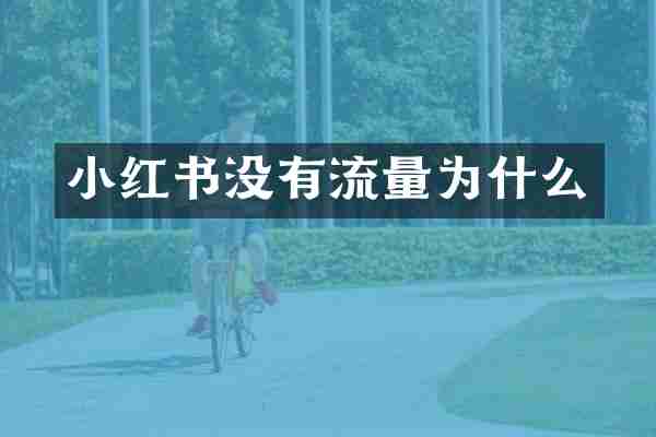 小红书没有流量为什么