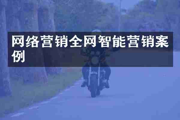 网络营销全网智能营销案例