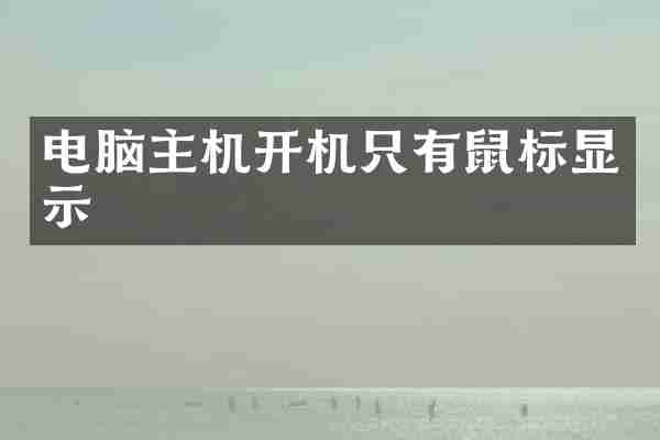 电脑主机开机只有鼠标显示