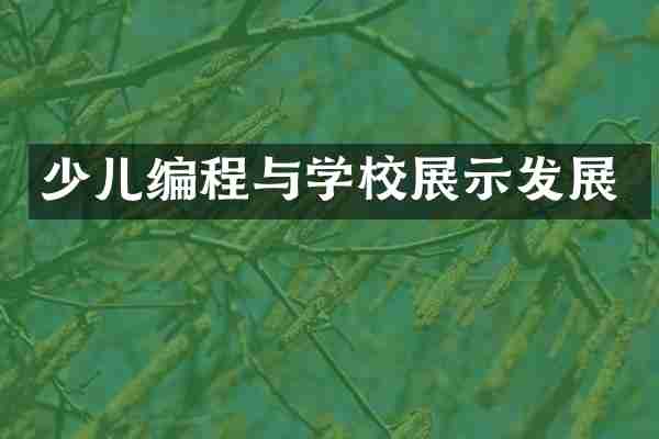 少儿编程与学校展示发展