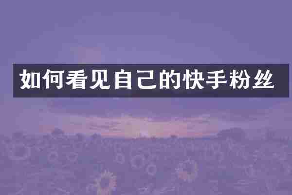 如何看见自己的快手粉丝
