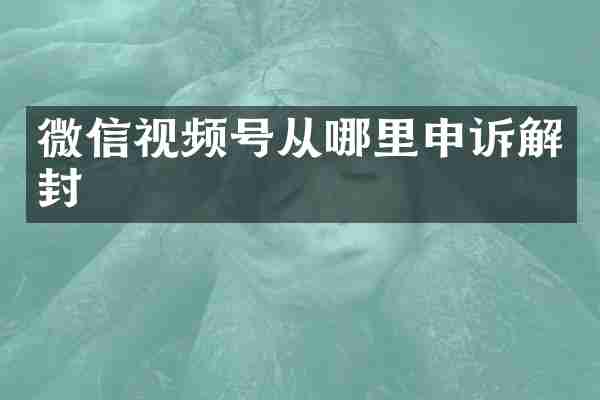 微信视频号从哪里申诉解封