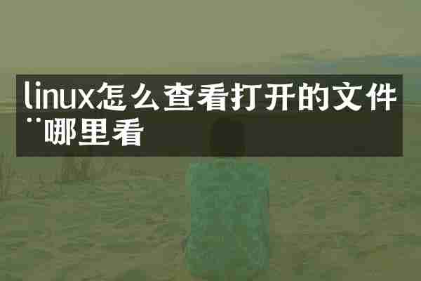 linux怎么查看打开的文件在哪里看