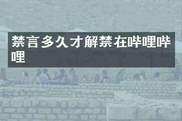 禁言多久才解禁在哔哩哔哩