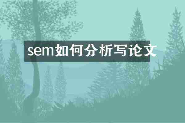 sem如何分析写论文