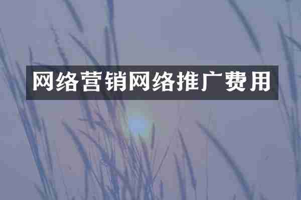 网络营销网络推广费用
