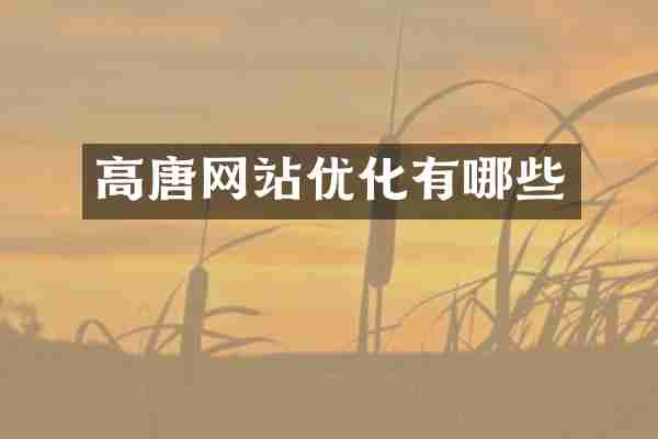 高唐网站优化有哪些