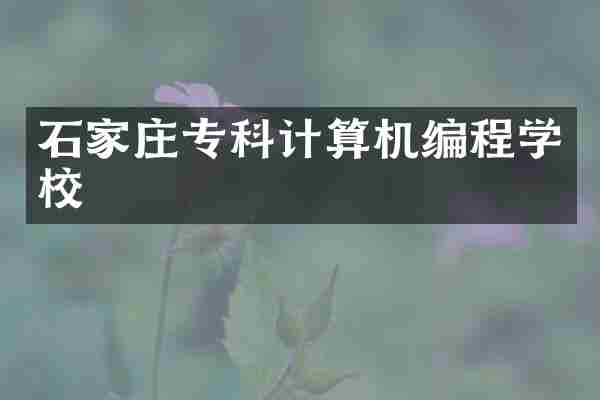 石家庄专科计算机编程学校