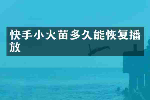 快手小火苗多久能恢复播放