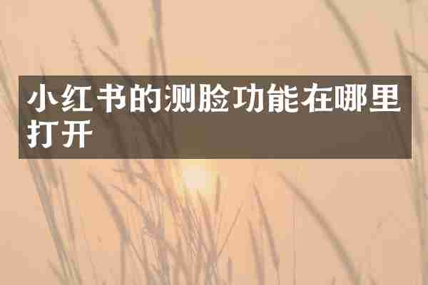 小红书的测脸功能在哪里打开