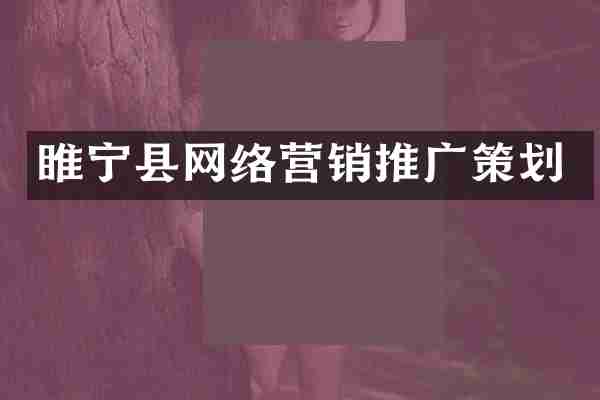 睢宁县网络营销推广策划