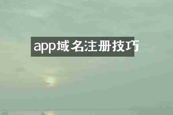 app域名注册技巧