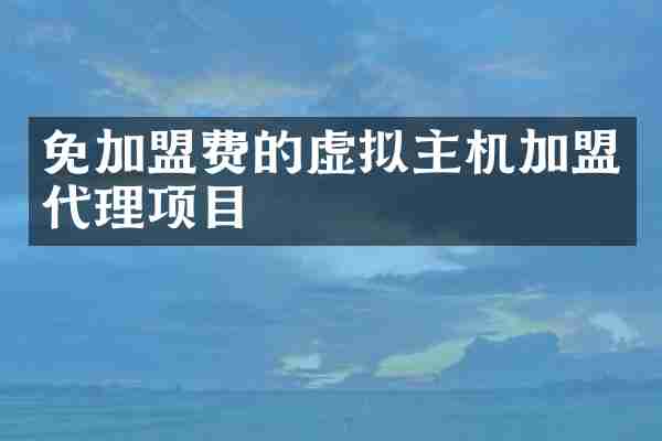 免加盟费的虚拟主机加盟代理项目