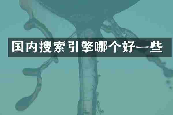 国内搜索引擎哪个好一些
