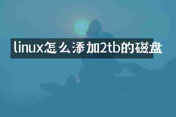 linux怎么添加2tb的磁盘