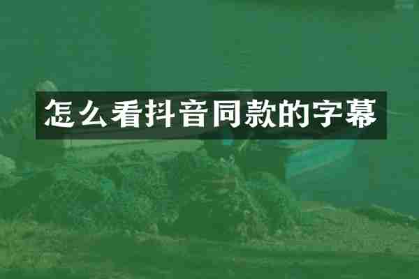 怎么看抖音同款的字幕